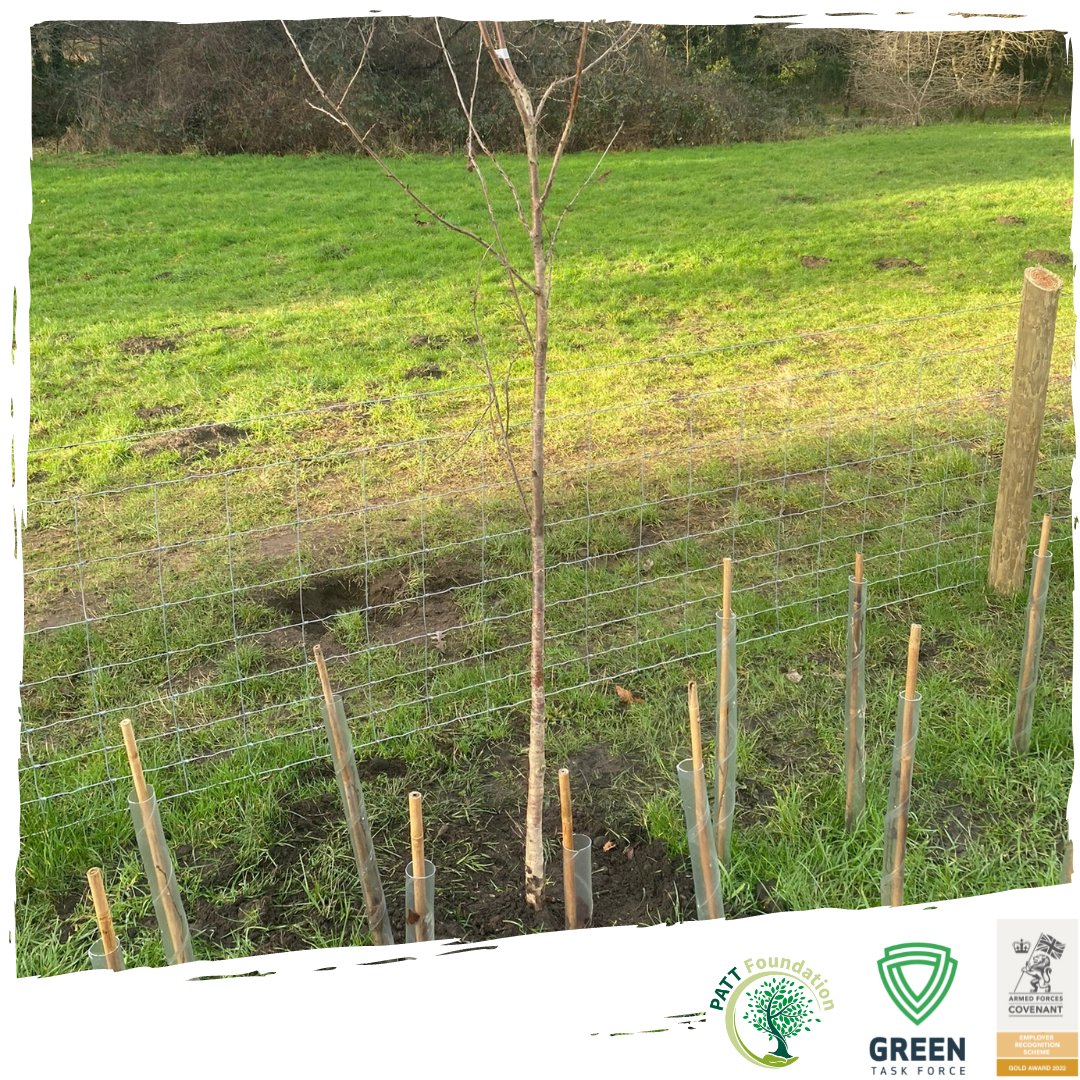 GreenTaskForce1's tweet photo. The @GreenTaskForce1 (Wales) team have been busy with this Bank stabilisation and habitat creation project in #Newport #SouthWales
#GreenTaskForce #PattFoundation #conservation #woodland #treeplanting #employment #veteranshelpingveterans #veteranemployment #woodlandmanagment https://t.co/MtLDBc2DAV