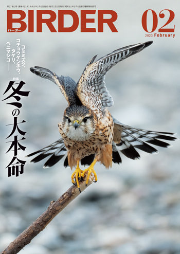 ikimonolab's tweet photo. 【お知らせ】
先日発売したBIRDER 2023年2月号のプレゼントコーナーに商品を提供させていただきました。
どうぞよろしくお願いいたします。
https://t.co/kUb0IIyOwf
#文一総合出版 https://t.co/GjrJQwvJdk
