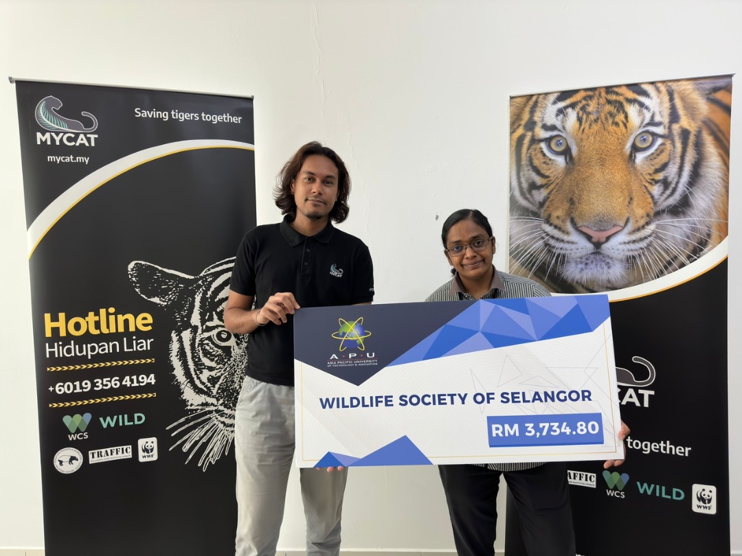 MYCAT_200's tweet photo. A massive thanks to Asia Pacific University of Technology & Innovation (APU). RM3734.80 was raised during Roar Run 2022 as part of MYCAT’s Youth For Tigers (Y4T) programme led by APU student and Y4T Stripe Rajveen Kaur. Kudos to all involved. #campuslife #savingtigerstogether https://t.co/gpfxQvqDkb