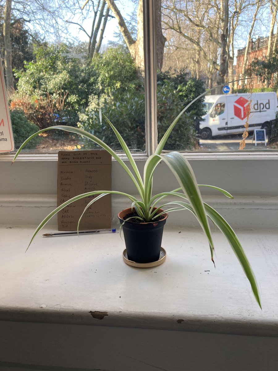 EnterTheVenue tweet media