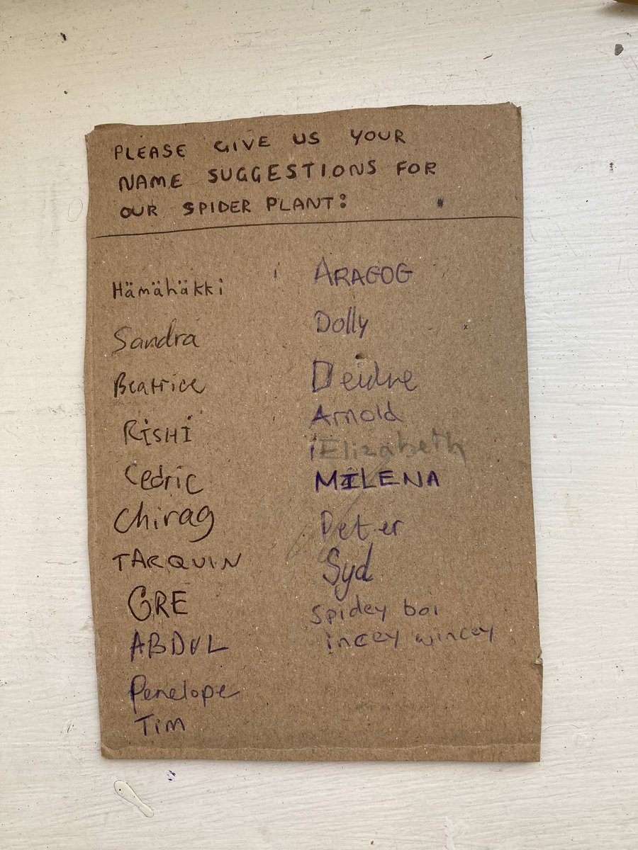 EnterTheVenue tweet media