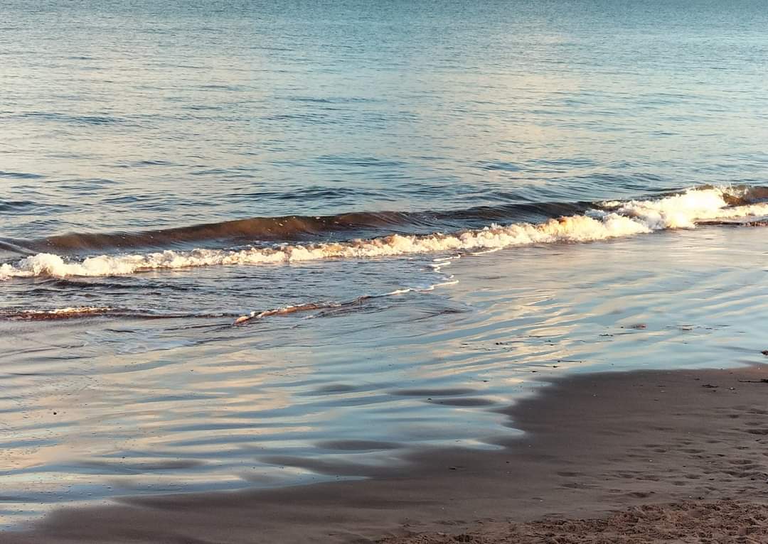 MichellePoet's tweet photo. Photos: Michelle Morris - Talking to the ocean 🌊💙
#talk #talking #communication #emotions #relationships #empathy #understanding
#lyrics #lyric #lyricist #song #songs #songwriter #pop #popmusic #rock #rockmusic #songwords #music #country #countrymusic #indie #indiemusic #photo https://t.co/NteWLSOEA4