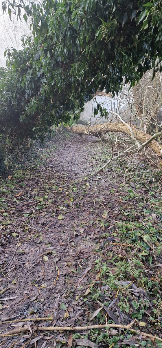 ajaybadiani's tweet photo. @BlabyDC there are 2 fallen trees blocking a footpath. The path is between Groby road and Glenfield. You enter the path just after the Shell Petrol station and the fallen trees are approximately 100 metres from this entrance.

Was unable to report via website. https://t.co/i95GDxnMIL
