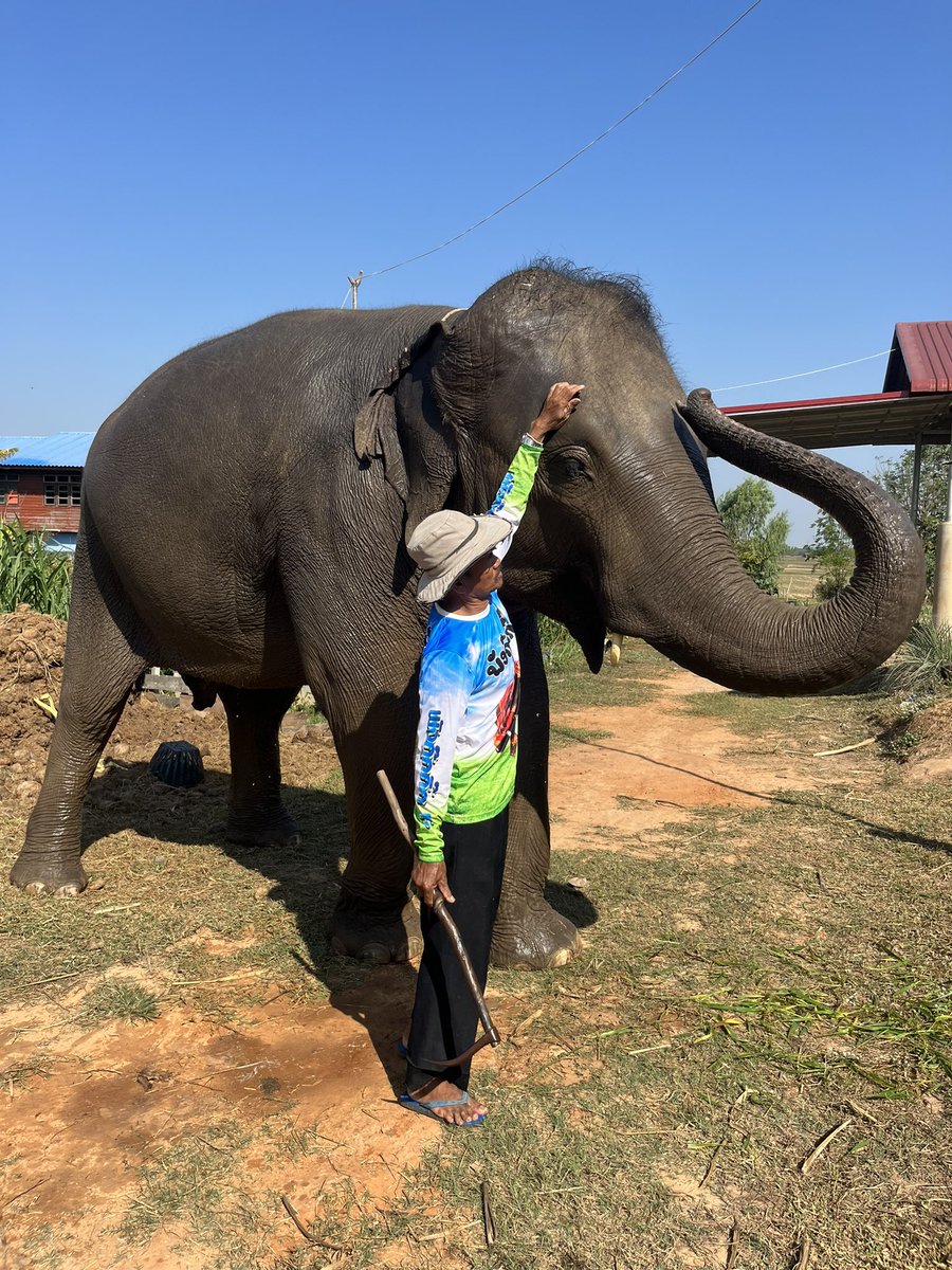 พัง น้องนุ่น tweet media