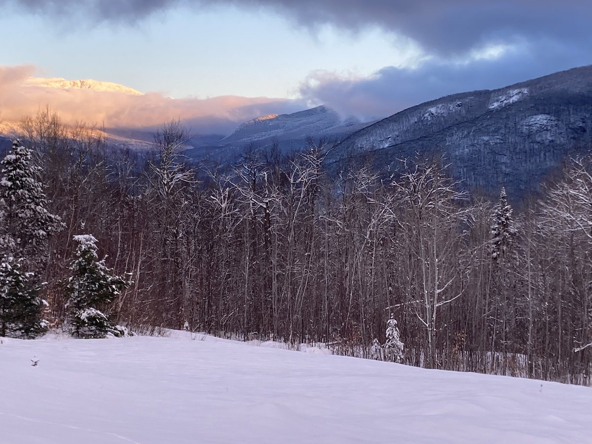To ski, or not to ski. That is the question