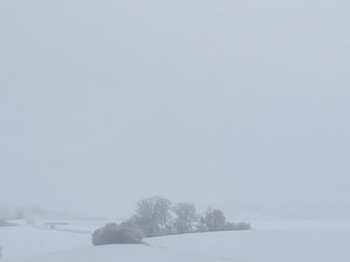 Hubert Aiwanger tweet media