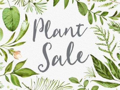 Drum roll please!! 🥁🥁🥁
Huge SALE alert! 
For three days only we are offering 80% off a full table of select indoor tropicals. Yes you heard that correctly. 80% off!! Today, tomorrow and Monday! 
Don’t walk, RUN!! #plantsale #lakelandplantworld #dartmouth