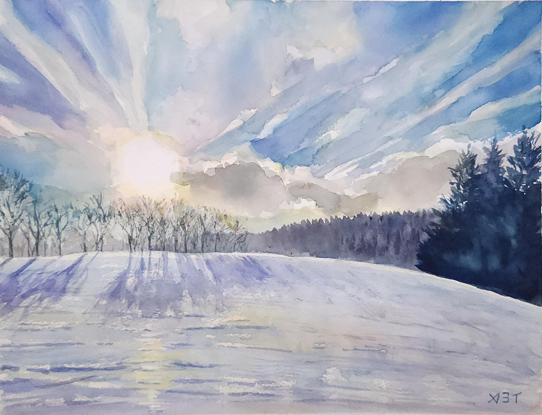 尾形 弥生 OGATA Yayoi в X: „Ski resort sky スキー場の空