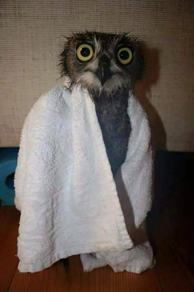 Duştan çıktım 😁