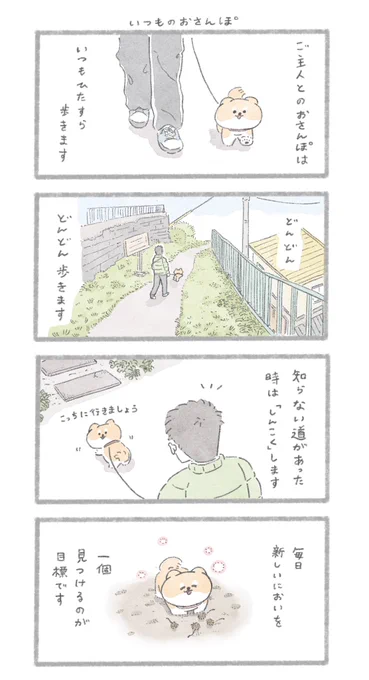今日も見つけたね
#こんにちはいぬです 