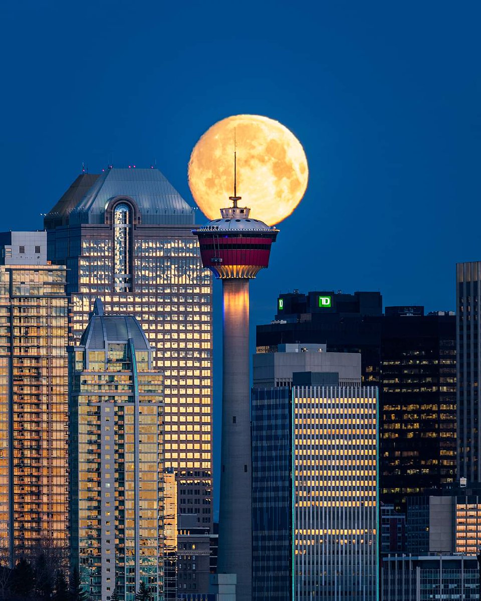 Padhaaro hamaarey desh series ❤️🇨🇦
Night night, Calgary! 😴 

(📸: richie.hannah.ab on Instagram)

Picture taken 5 days ago.

#yyc #calgarytower #lifeincalgary #capturecalgary #loveyyc #downtowncalgary #yycliving