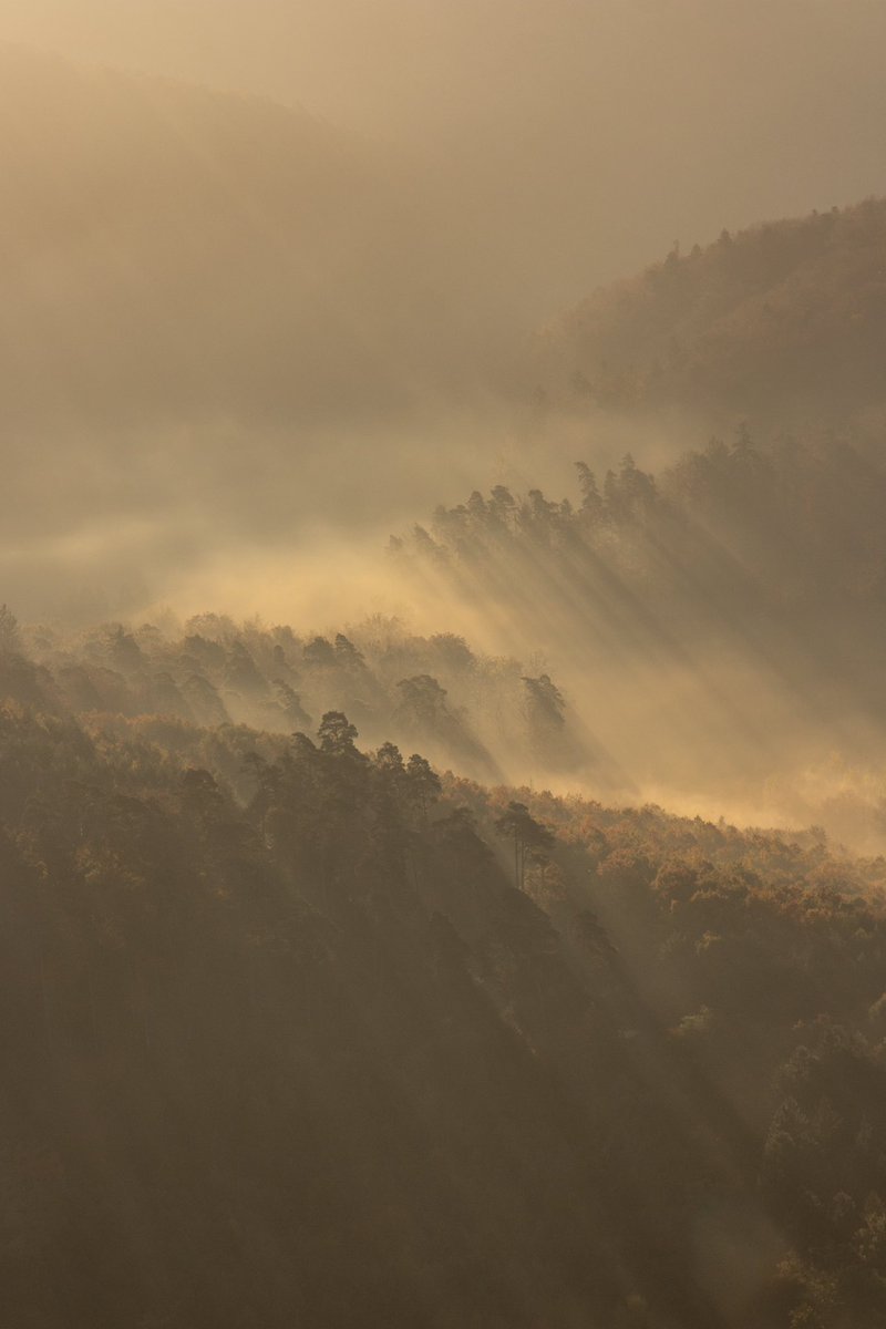 mmarriuss tweet media