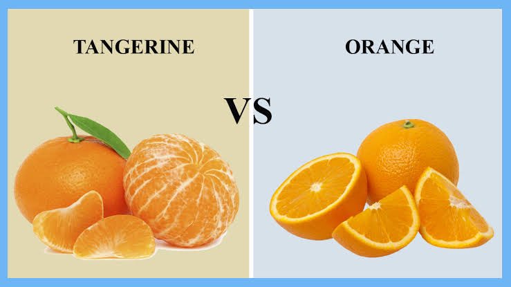 พึ่งรู้ว่าส้มไทยที่เรากินกันไม่ใช่ orange แต่คือ tangerine นี่กูเข้าใจผิดมายี่สิบกว่าปีรึนี่😱