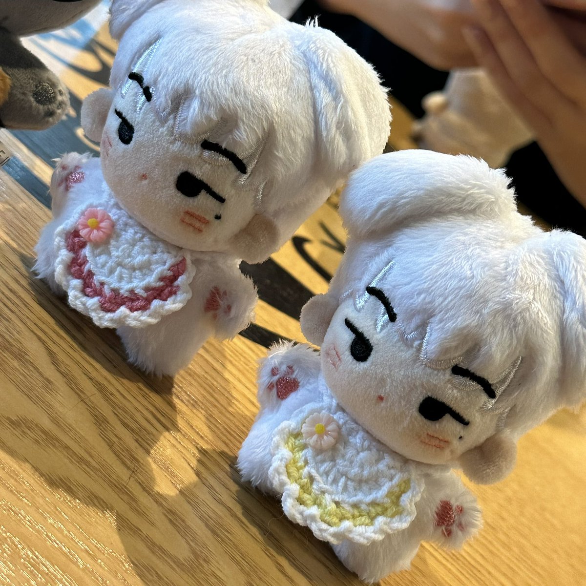 우찌 tweet media