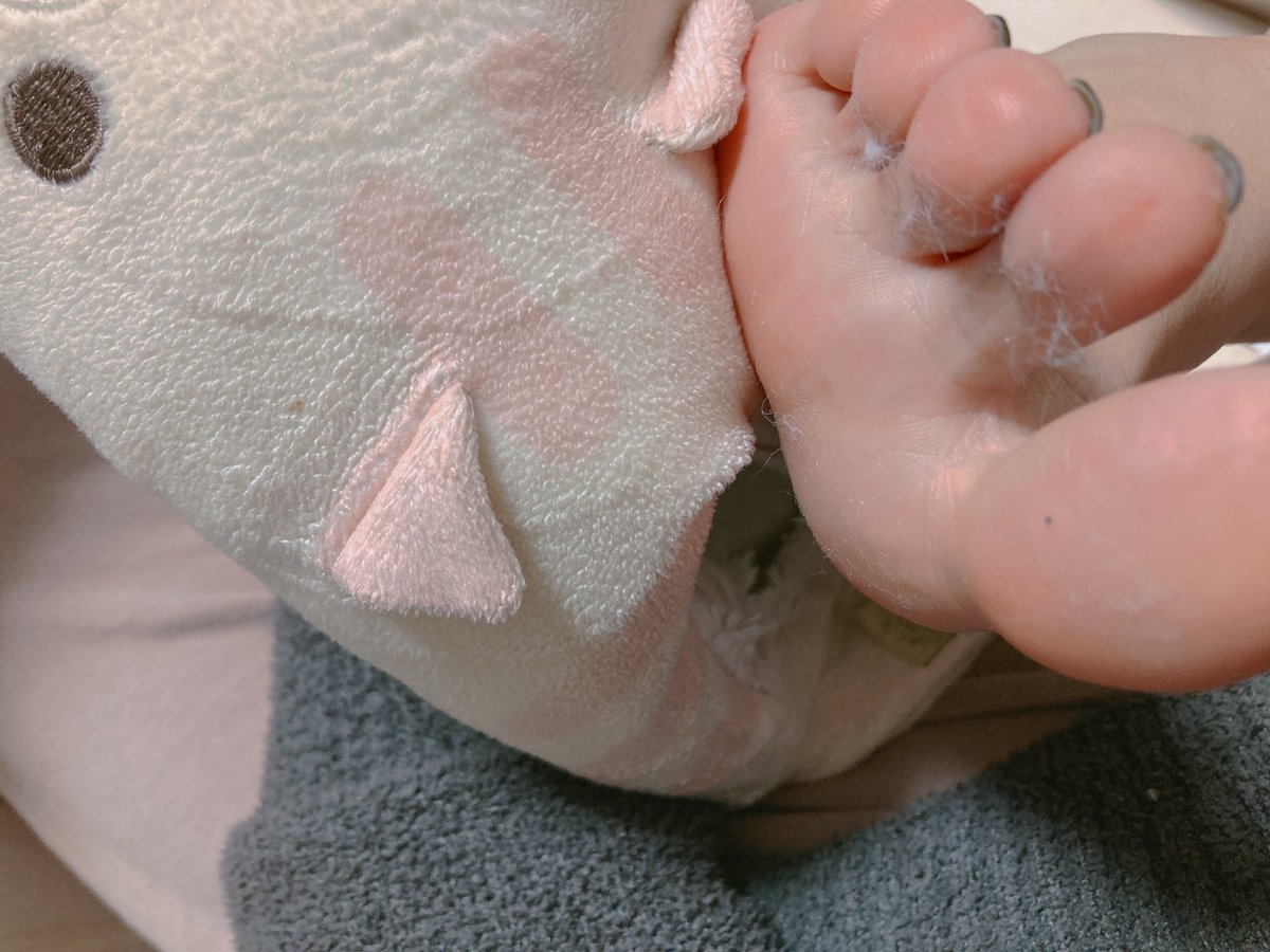 hj12848966's tweet photo. 掉毛毛了😭 https://t.co/6aABXbxvTg