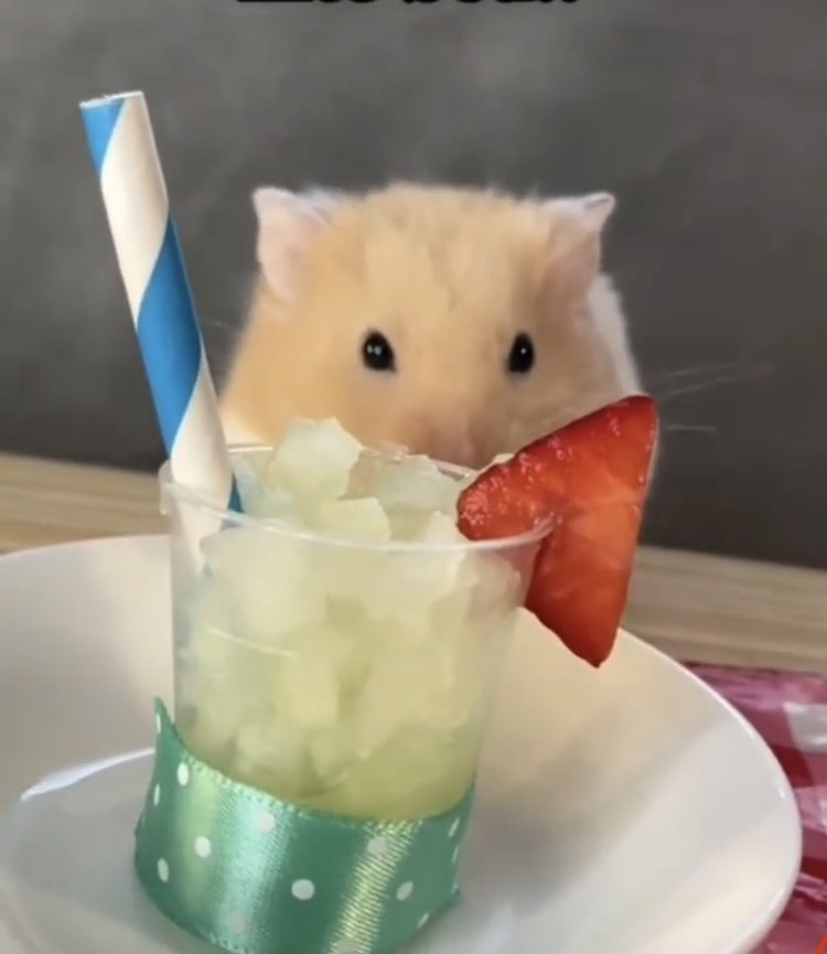 HumStir's tweet image. pov ,,, we on  a date 😏