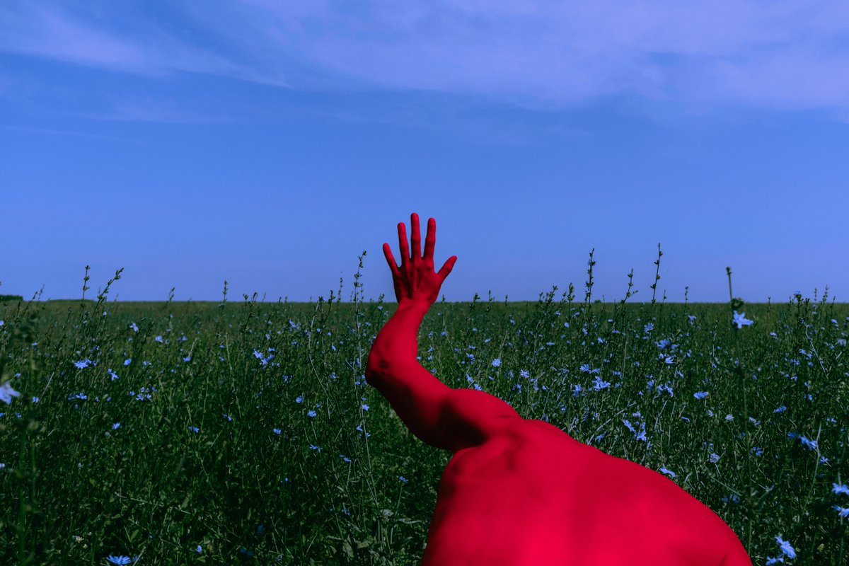 Don Iv@nio tweet media