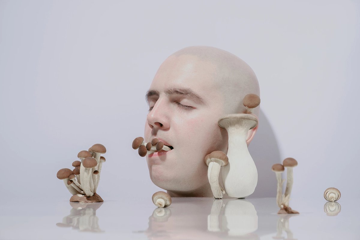 Don Iv@nio tweet media