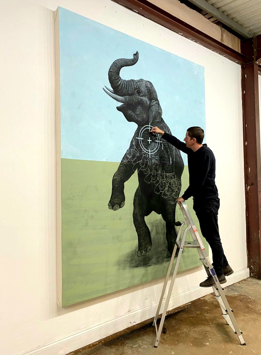 I'm feeling the need to go BIG again soon..so I'm putting the feelers out for a space..

Any suggestions are very welcome!

#bigdrawing #bigdrawings #bigartwork #statementpieces #statementpiece #wildlifeconservation #raisingawareness #anthrozoology #tomvanherrewege