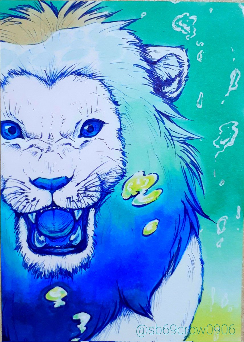 no humans lion animal focus bubble animal fangs blue eyes  illustration images