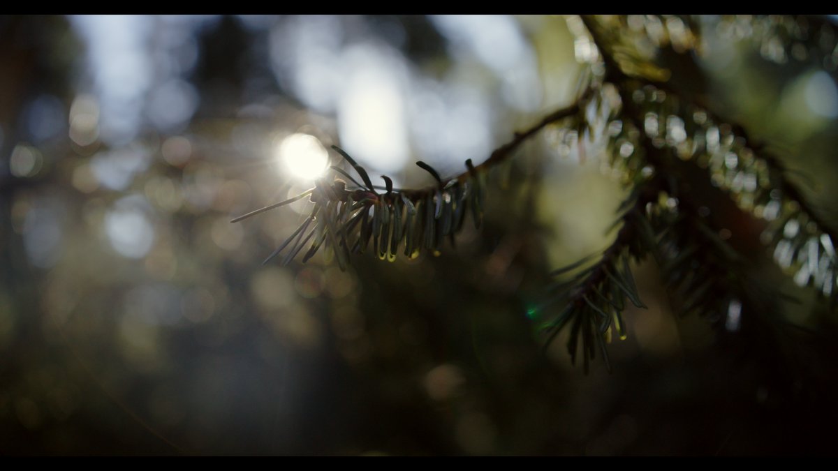 the camera &amp; the footage