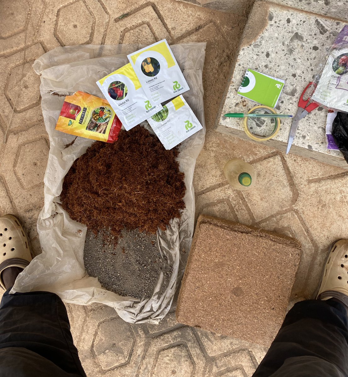 deliot8's tweet photo. Seeds sowing on a Saturday morning ๐ง๐พโ๐พ.
The cold nearly turned my right hand to ice block ๐ฅถ.
Looking to buy/have someone raise quality seedlings for you? Look at me, Iโm hear ๐; you should DM ๐๐พ.
#farmboy #sustainableagriculture #farmnatics https://t.co/7nu6M9djIt