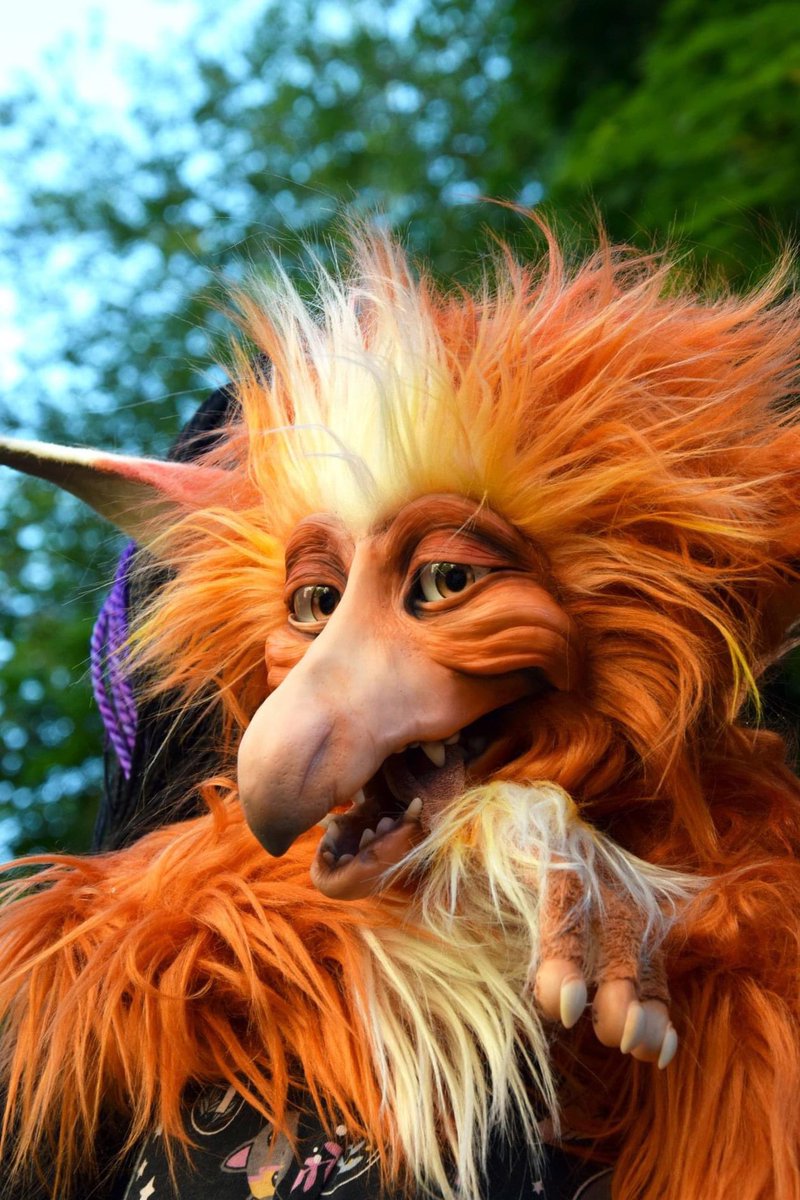 Amanda Cookson tweet media