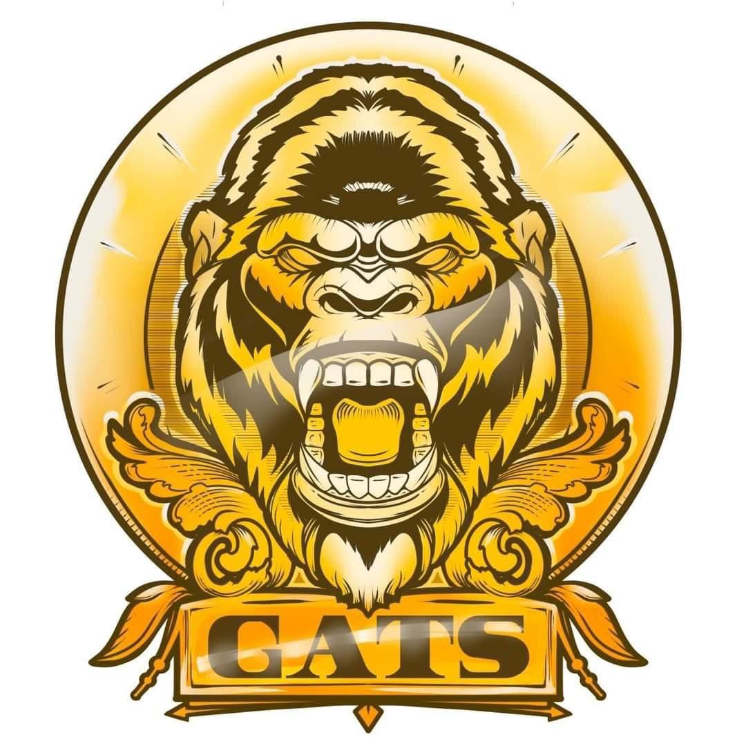 👀👀👀

Something is brewing…

@GATStokenErc20