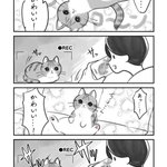 猫飼いさんならきっと共感を覚えるはず･･･!可愛いポーズを取る愛猫を撮影しようとすると･･･!