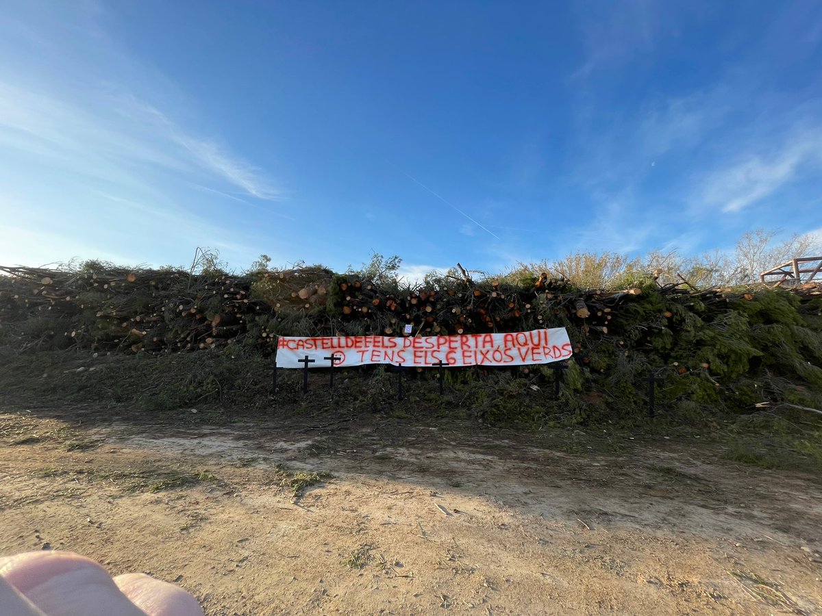 DefensemCastell's tweet photo. 1/ Les veïnes i veïns de #Castelldefels fins als nassos de la insensibilitat medi ambiental de l'Ajuntament i les seves massacres forestals.

No ho entenem. Hi ha interessos economics? Algú es treu un sobresou amb la Fusta? Preparant el terreny pels 6 Eixos de Ciment? https://t.co/Q7XsgsyFvY