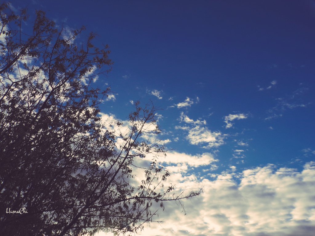 Bluemoonkari's tweet photo. いつか
きみといっしょに
みた
そらに
にていた
おもひでは
いつも
いつまでも
あざやかで
ゆへに
じくじくと
いたむのです
#ステキナシュウマツヲオスゴシクダサイネ
#コチラモアスカラサンレンキュウ
#LetsBeTheLight https://t.co/UQsDB9xlFO