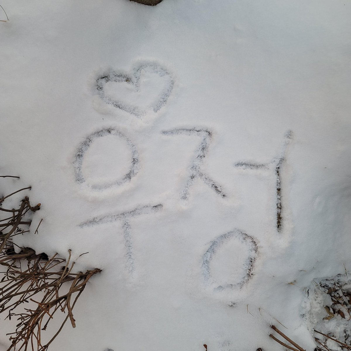 #여름 유니버스 FNS 모음 💜