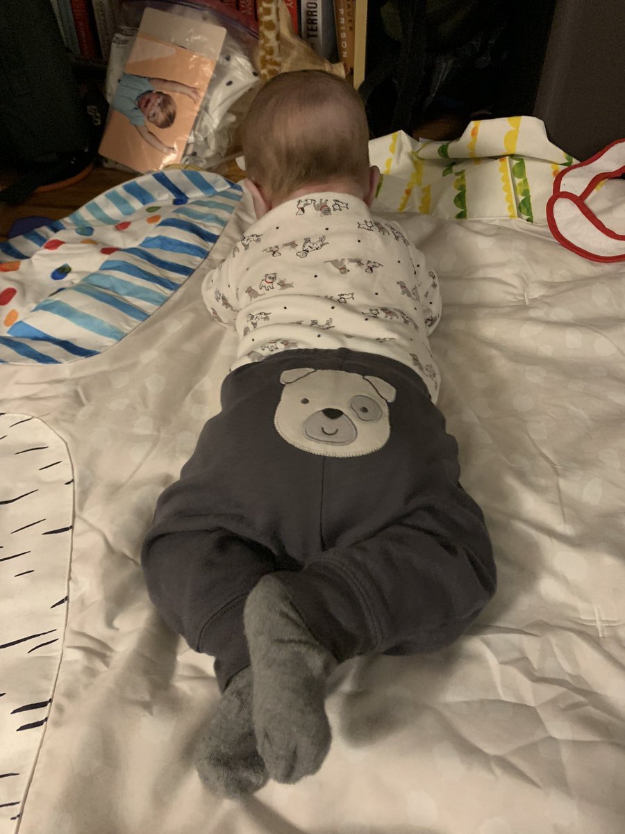 SkaScar's tweet photo. Puppy butt https://t.co/DUGv0504Ua