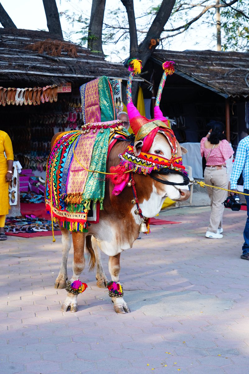 Sankranthi festival at Shilparamam Madhapur