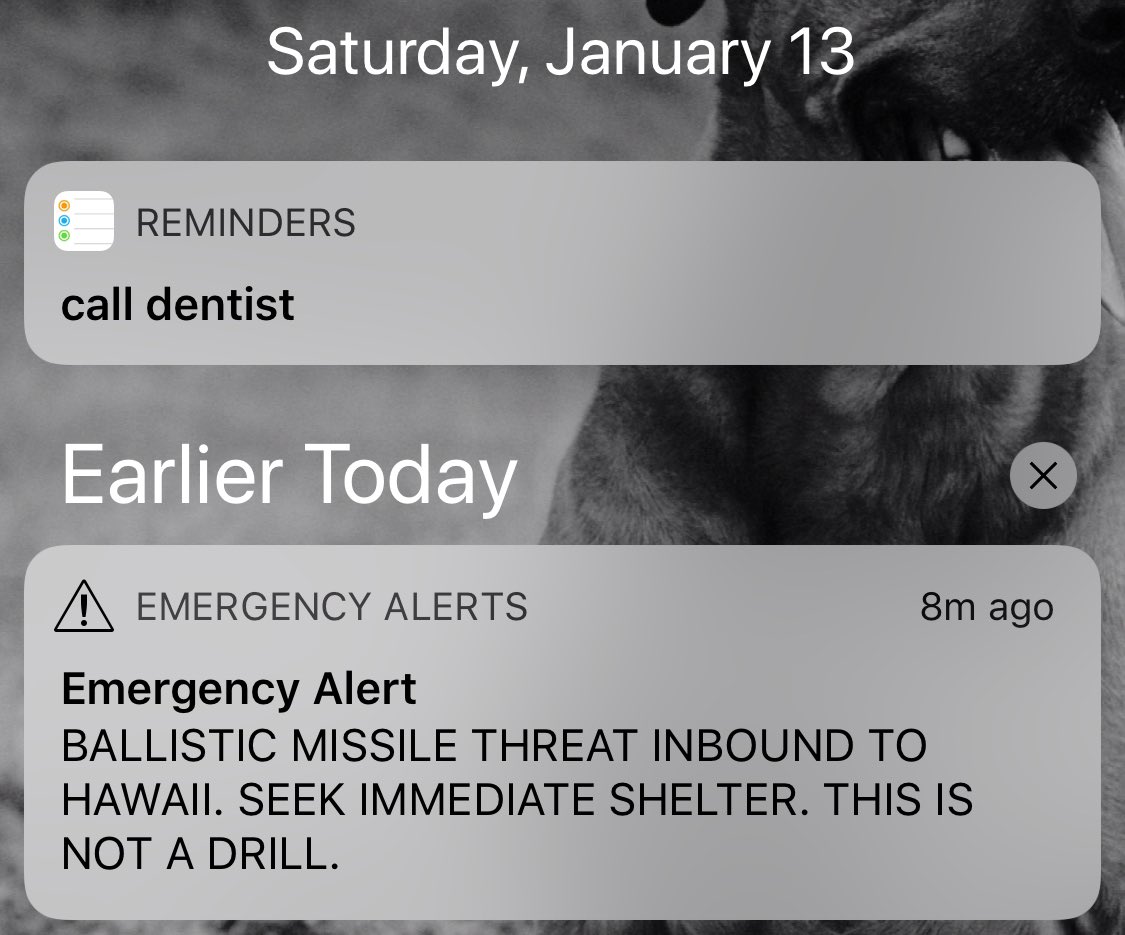 Elan Feingold tweet media