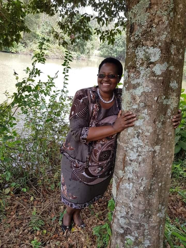WanyekiJedidah's tweet photo. When I go to the forest I talk to trees. They are my friends.
I congratulate them for being good to mankind even when we become very brutal to them. The survivors remain standing strong. Be kind to trees.

#ecosystem 
#stopdeforestation https://t.co/Apegy1YsUR