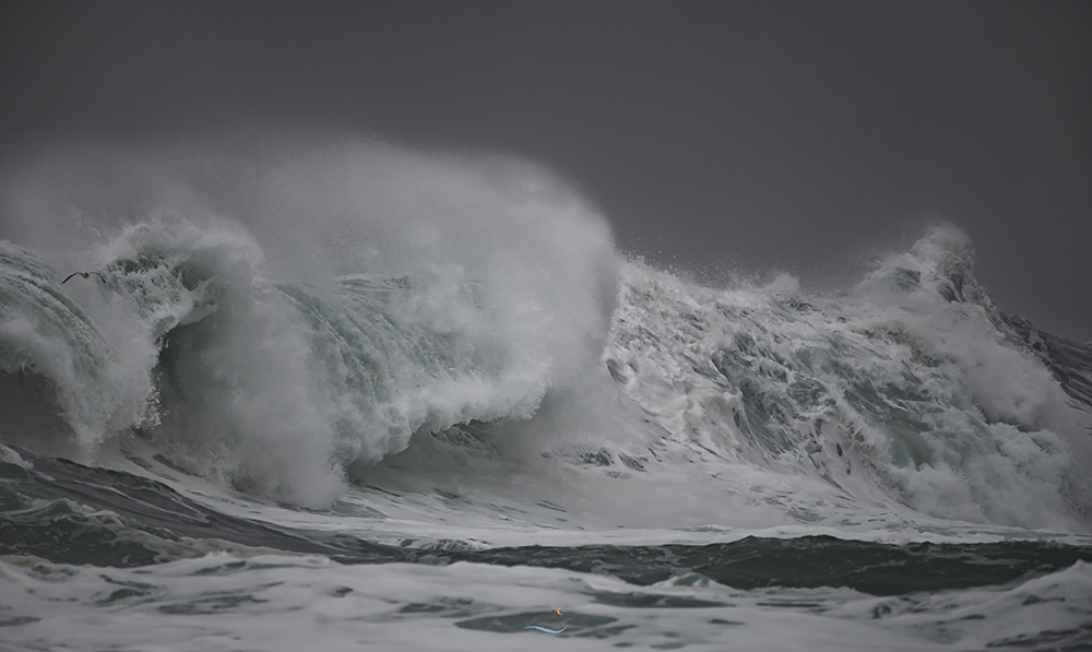 davidlmccolm's tweet photo. The waves were back BIG time today on the west coast of Vancouver Island. These explosive moments were captured from the shore of Ucluelet, BC https://t.co/K8POy6x8fe