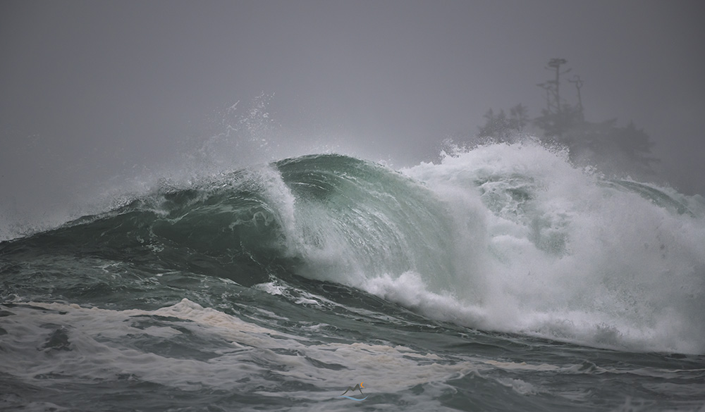 David McColm on Twitter "The waves were back BIG time today on the
