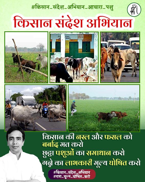 किसान गन्ने का लाभकारी मूल्य न मिलने और आवारा पशुओं से हो रही फसलों की बर्बादी से परेशान है ! ना गन्ना मूल्य यूपी में अभी तक घोषित हुआ न बकाये का भुगतान हुआ... 
#गन्ना_मूल्य_घोषित_करो
#आवारा_पशुओं_का_समाधान_करो 
#YogiAdityanath 
#jayantrld
#manjeetrld