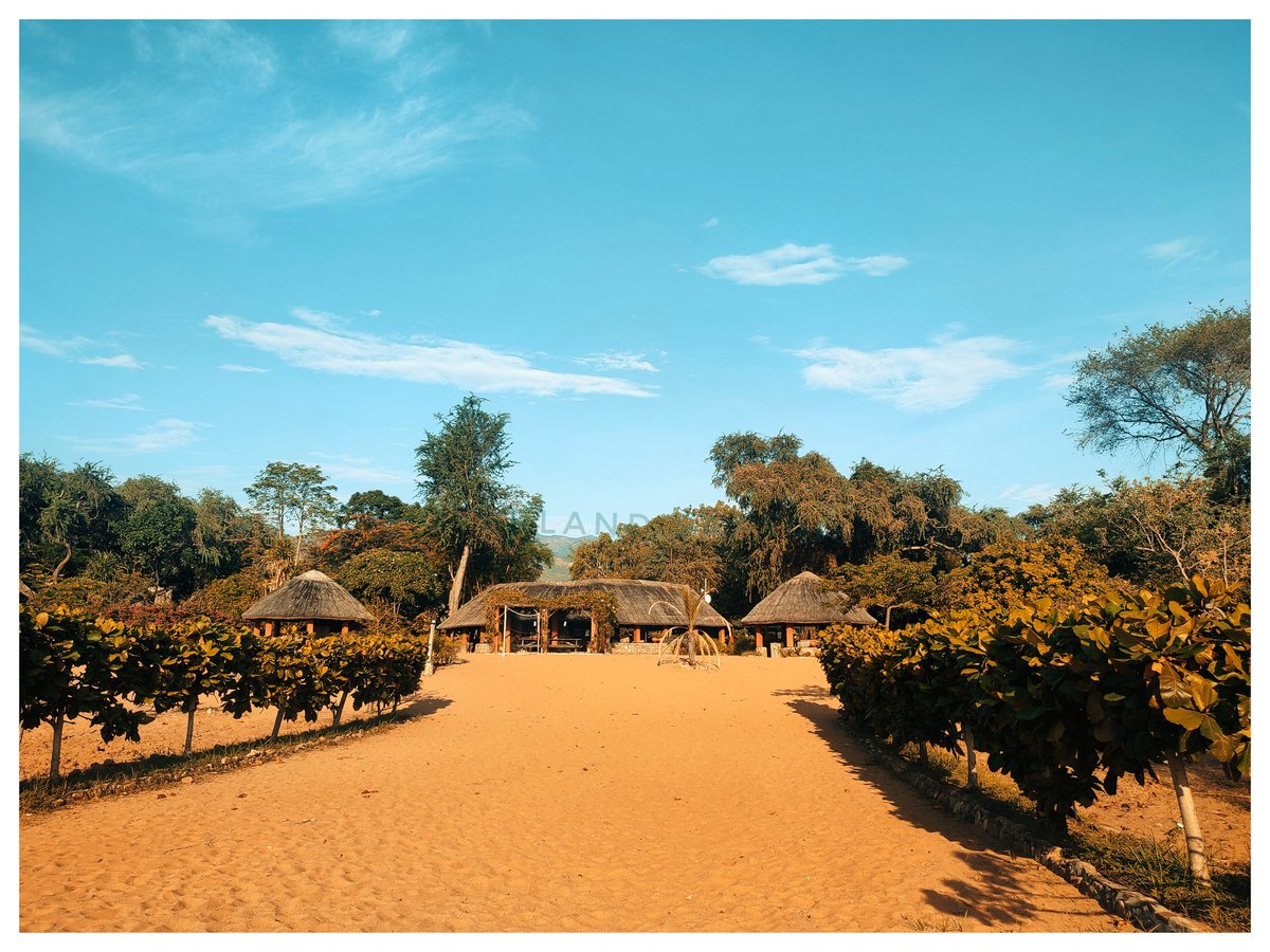 Jambo_Overland's tweet photo. Camping in Chitimba makes you sit back and take in nature. The morning jog, as you listen to birds singing, walking along the beach, sometimes playing games or being alone with the great outdoors, is blissful. #camping #beach #outdoors #chitimba https://t.co/fkk8wntxeI