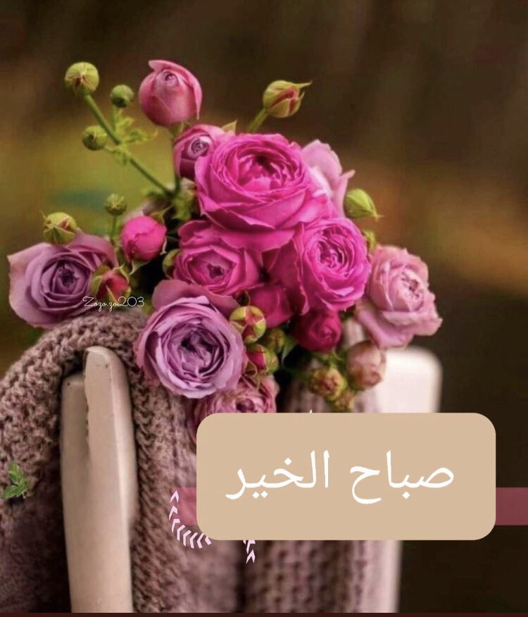 shog_208's tweet photo. توحشيني رغم الصمت اللي بينا.💕 https://t.co/OldCRYkDIe