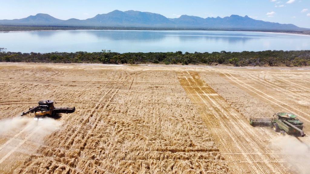 Ashton Hood tweet media