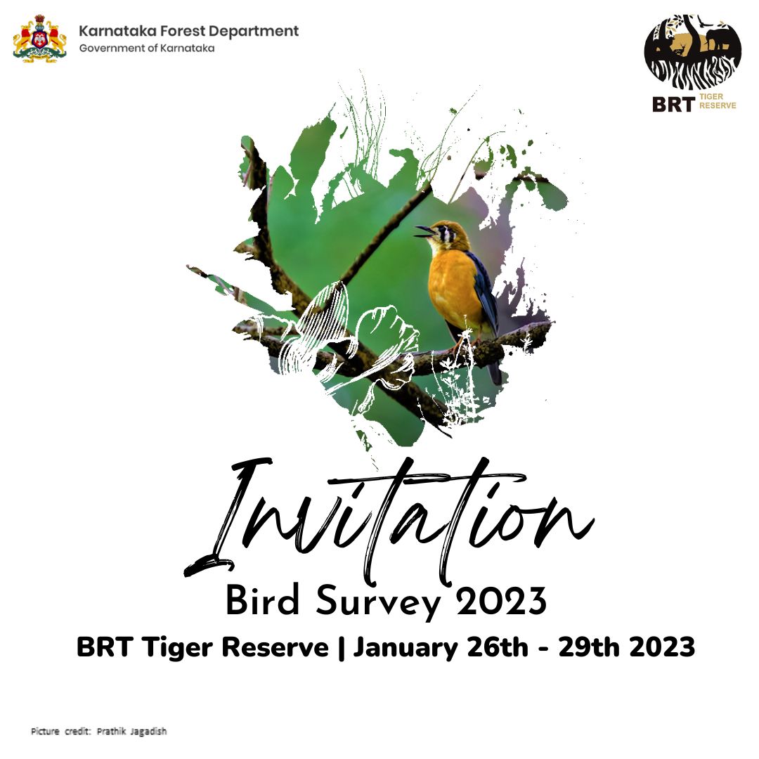 BRT TIGER RESERVE tweet media