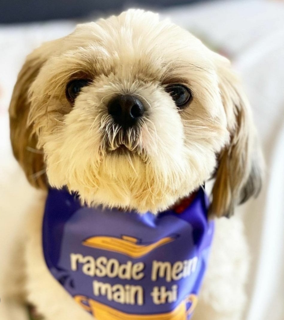 AngelBhattacha1's tweet image. Happy Birthday To me ✨🤩❤️ @Devoleena_23 love youuuu mommie and thank youuuu for everything 🤗
#DevoleenaBhattacharjee #AngelBhattacharjee