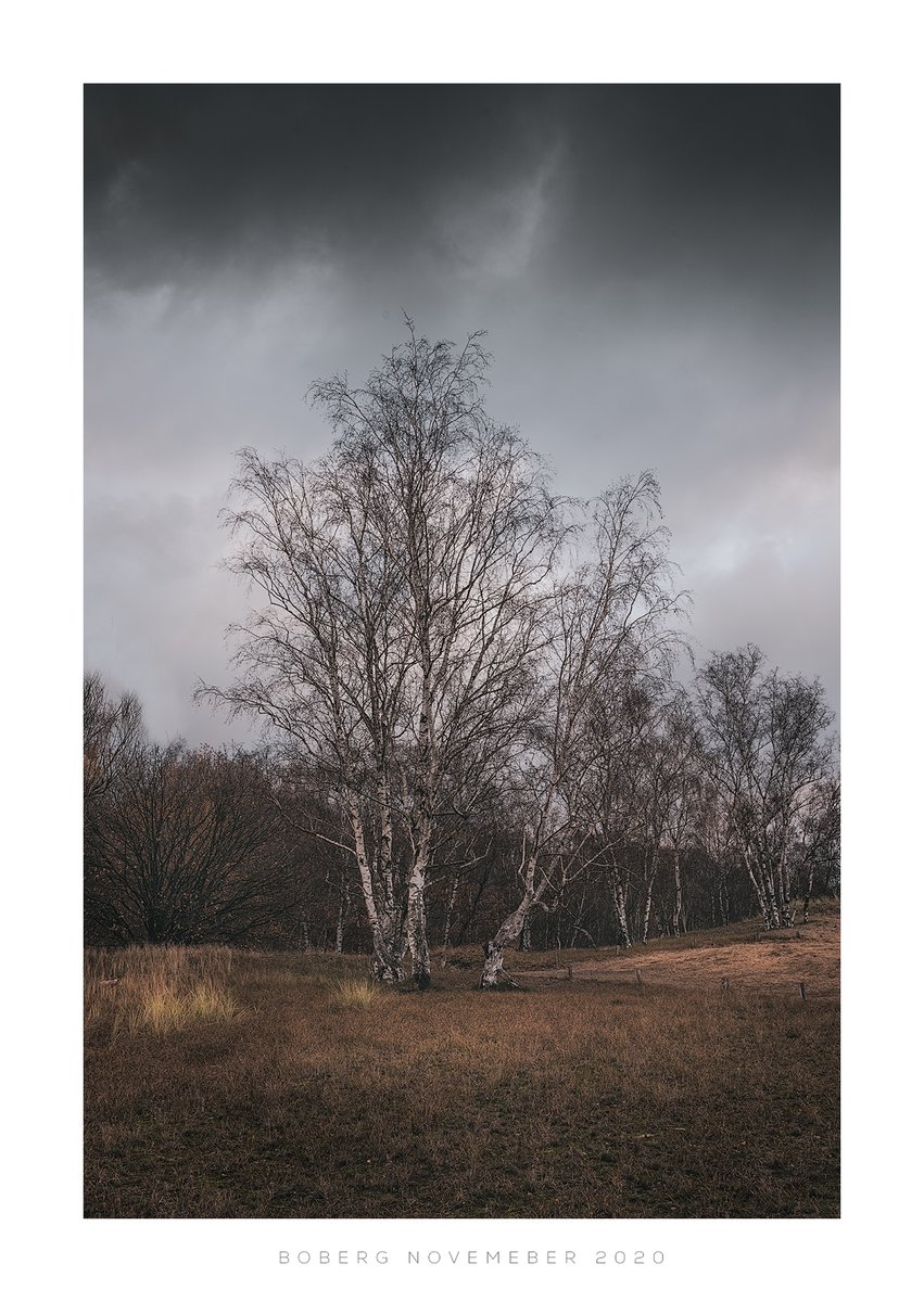 Thomasdphoto's tweet photo. Right before a shower of rain. https://t.co/9PfTEojwS6