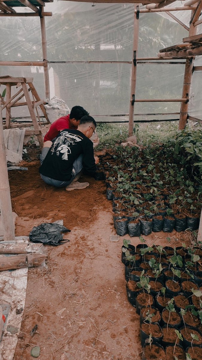 Arif_godriel's tweet photo. Siap tanam, belajar dr pandemi dan banyaknya kebutuhan dr roastery lain dan baru yg semakin menjamur, biar ndak rebutan greenbean terus. https://t.co/vJwAV0W6UE