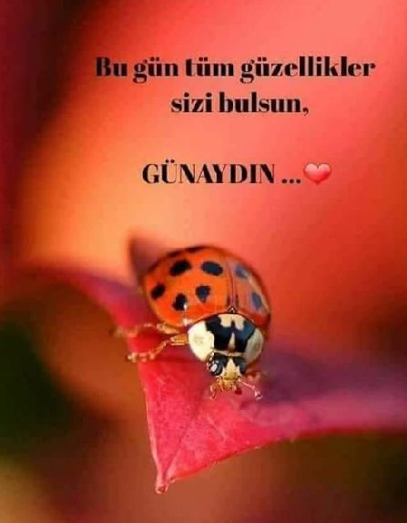 Sp5410's tweet photo. @OLgunHatun9 https://t.co/uTJfqrtSlD