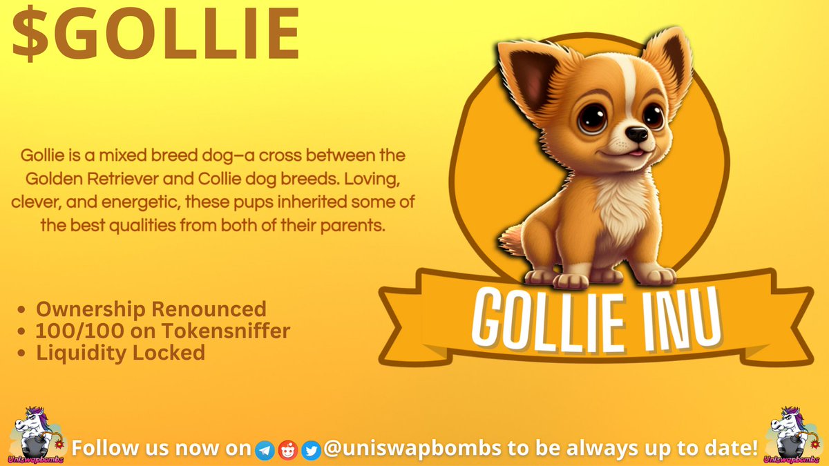 uniswapbombs's tweet photo. $Gollie is a mixed breed dogβa cross between the Golden Retriever and Collie dog breeds. Only 3 days old and growing daily, right now under 200 holders. 100/100 on #Tokensniffer & Ownership renounced, 20K MC, DYOR! @Gollieinuerc #Meme #Memecoin #Uniswapbombs #Gollie #GollieInu https://t.co/DENxslPAEG