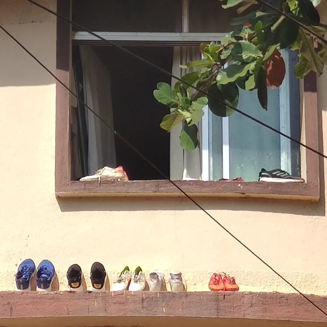 cerosilva's tweet photo. Someone's definitely vowed not to get out of the house today. π #shoegaze #homedecoration #windowdisplay #JoggerSets https://t.co/oKvZMnBrzI