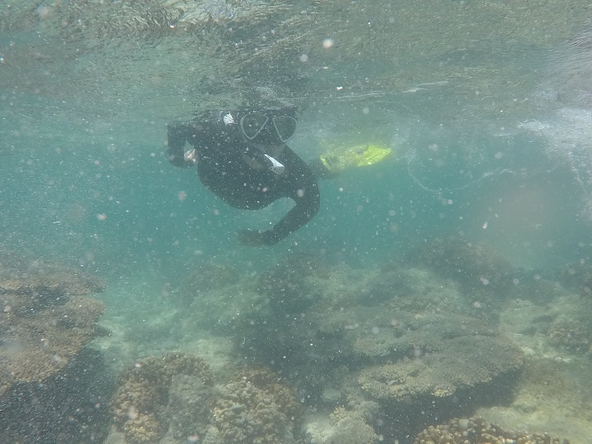la__cientifica's tweet photo. First trip of 2023 for the Conservation 'Omics 🧬 lab to breath-taking World Heritage Gutharraguda (🦈Shark Bay, WA). Thank you Tidal Moon 🌖 for sharing this experience with us, we look foward to many trips ahead #Malgana #SharkBay @minderoo @jcu @SiqueiraAleC @Teresa_Nobre https://t.co/QuFTImgLhk